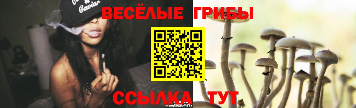 Псилоцибиновые грибы прущие грибы Сердобск